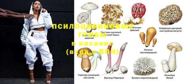 молекула духа Алексеевка