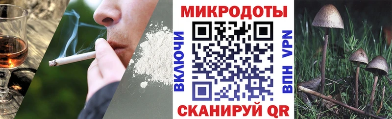 Псилоцибиновые грибы прущие грибы  Нолинск 